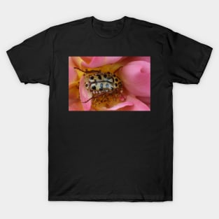 Don't bug me while I'm eatin' T-Shirt